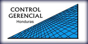 Control Gerencial